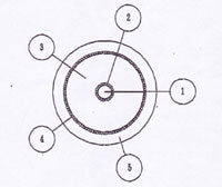 W2497 - 1c. Interconnexion (prix par rouleau - 164 pieds)