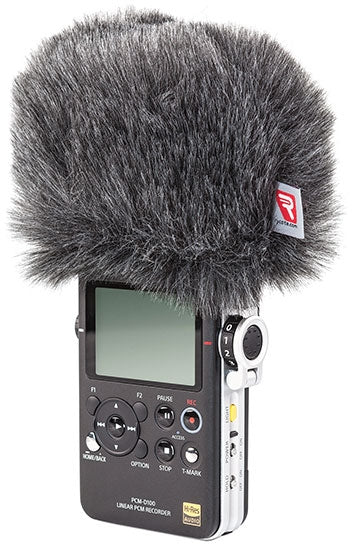 Audio Kit - Sony PCM-D100 046024