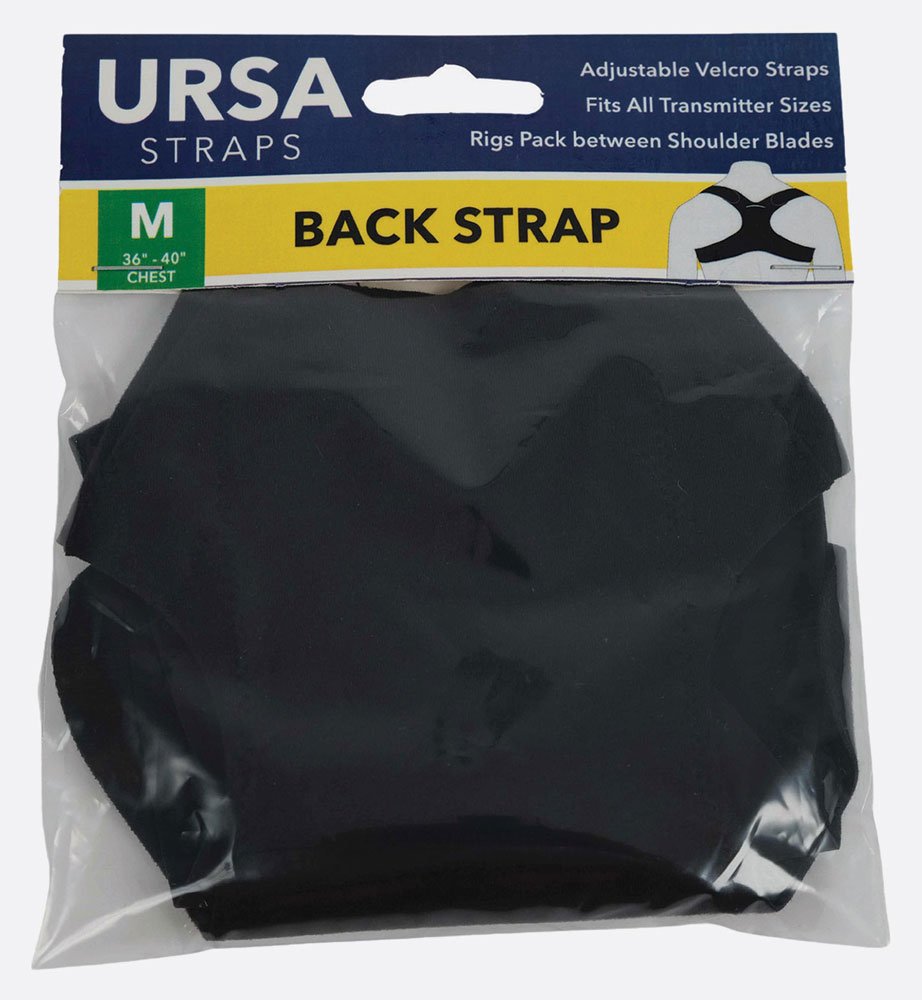 Sangle arrière moyenne (noire)