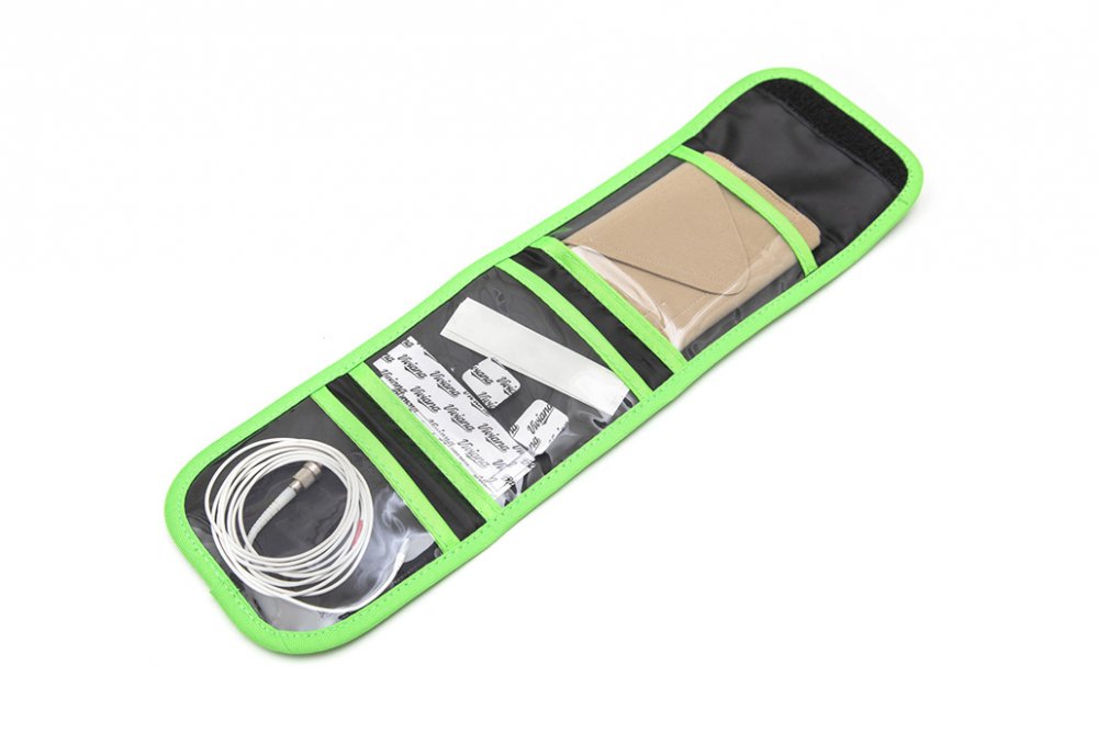 Viviana Bag (Small, Green)