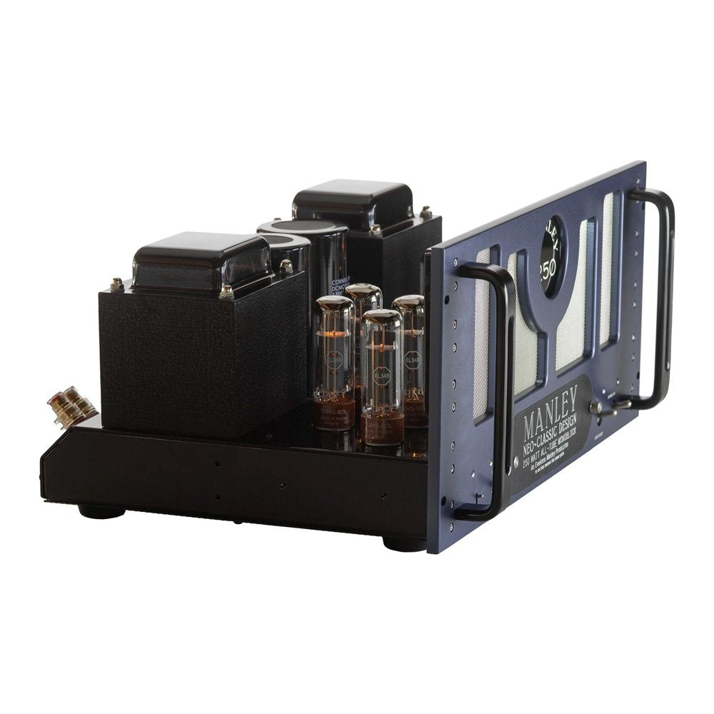 Neo-Classic 250 Monoblocks