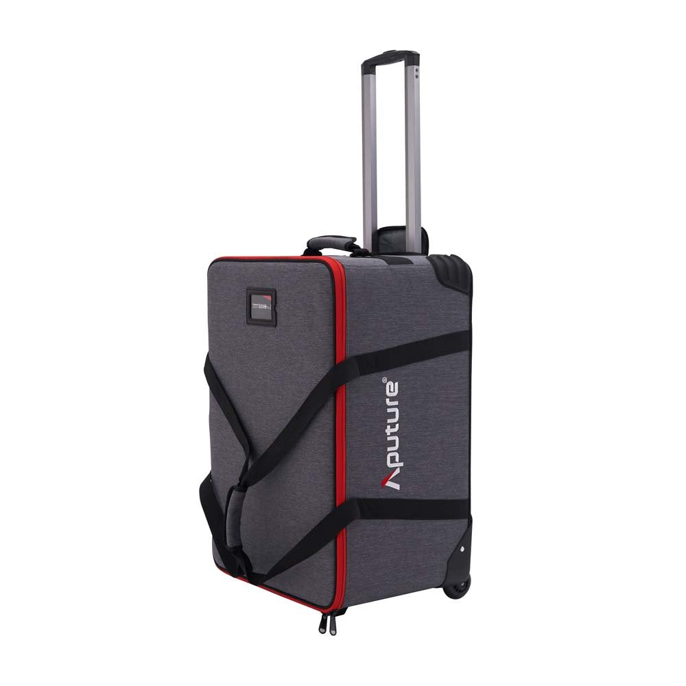 LS 600c Pro II (V-mount)