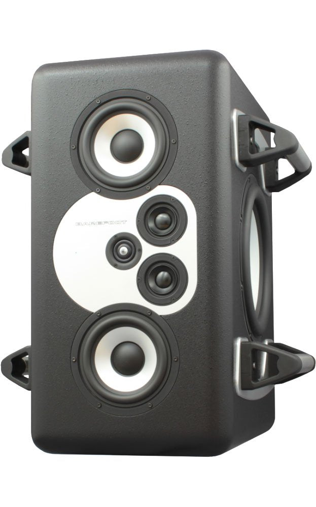 MiniMain 12 (pair) w/ handles