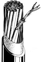 MR202-2AT-100M-BLACK