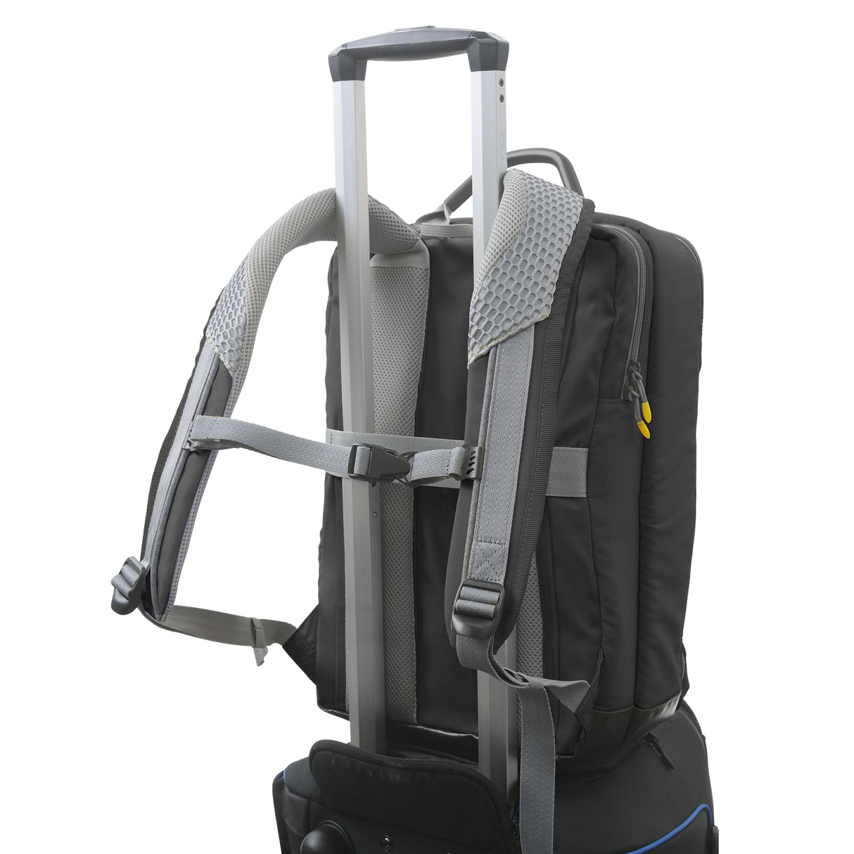 OR-554 Grey
