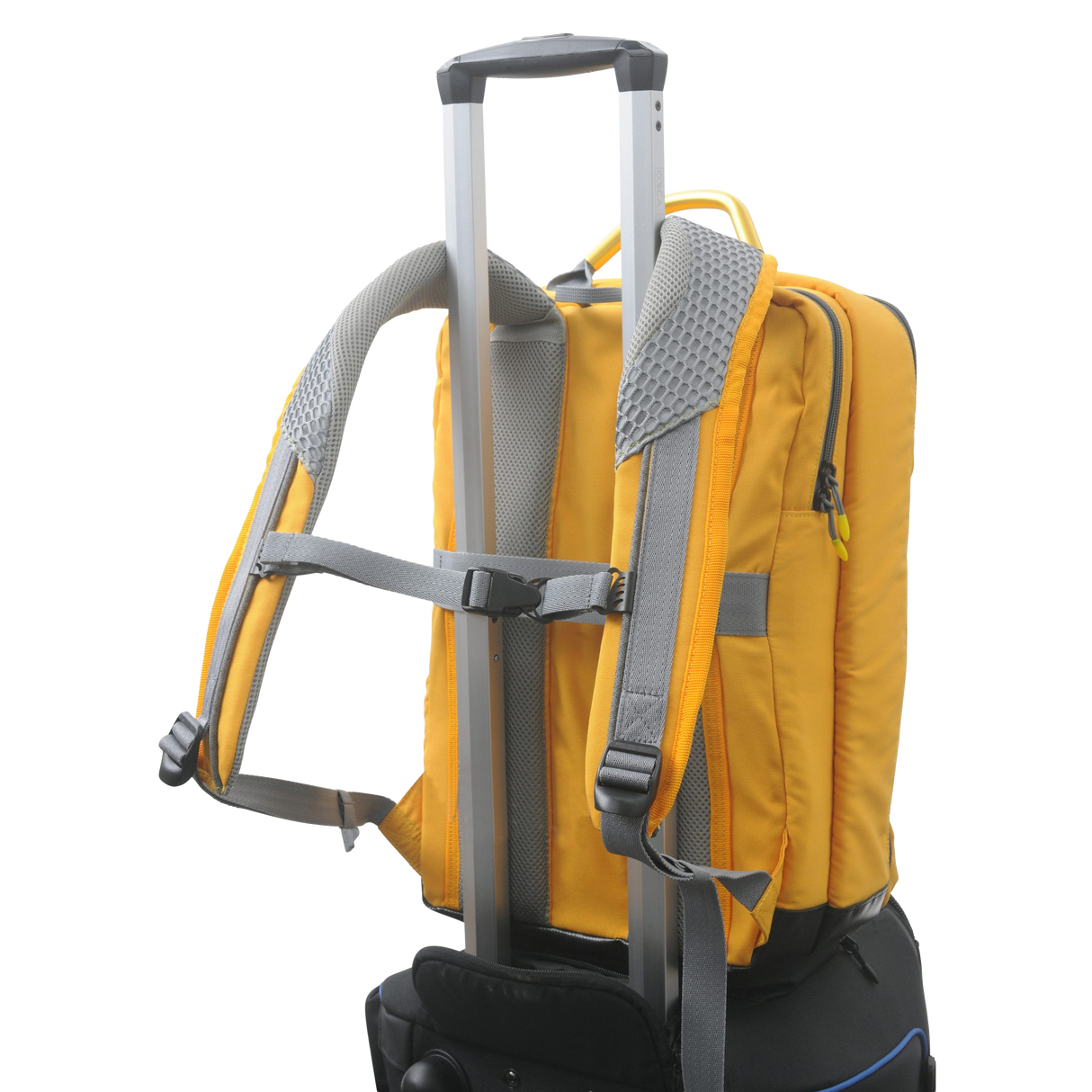 OR-554 Yellow