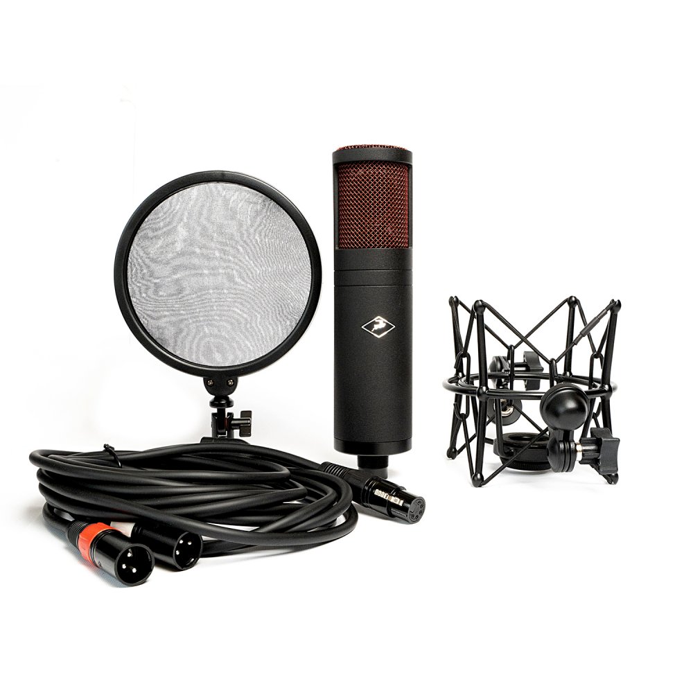 Antelope Audio Edge Duo |** Studio Economik | Pro-Audio Recording