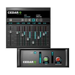 Cedar Audio CEDAR Studio 9 DNS for Mac