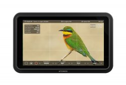 Atomos Shinobi II