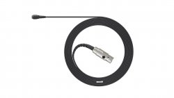 DPA 4060-OP-C-B10
