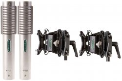 Royer R-121 Matched Pair/SS1