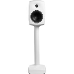 Genelec 6040BRWM