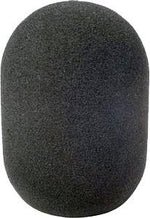 45/100 Large Diaphragm Foam Windscreen 104422