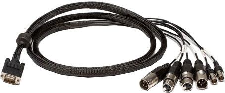 Lynx Studio Technology – Studio Economik