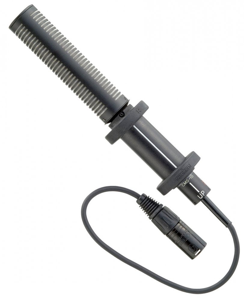 CMS-10