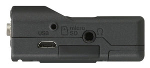 Tascam DR-10L