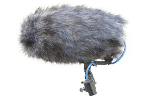 COSI-L-19