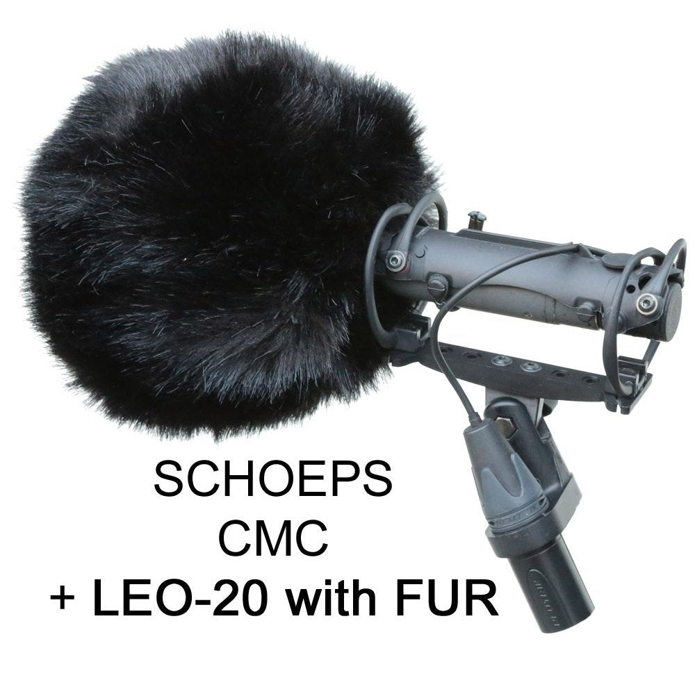 LEO-20