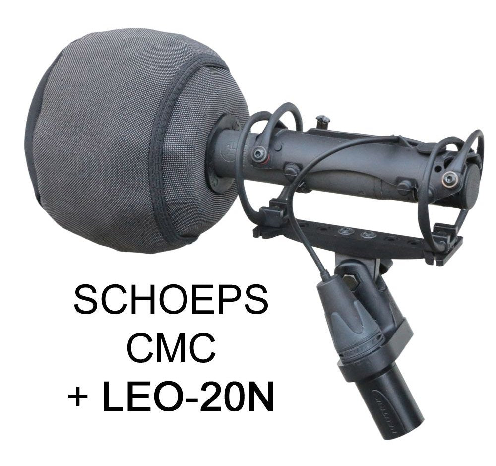 LEO-20