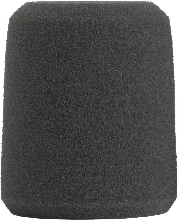 Shure A1WS