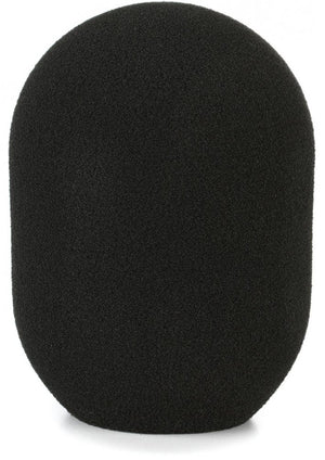 WS 2