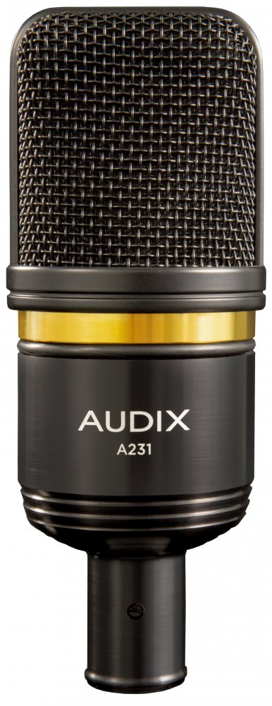 A231