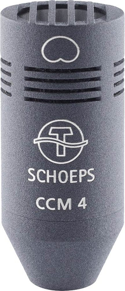 CCM4Lg