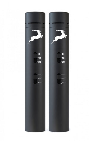 Edge Note Bundle