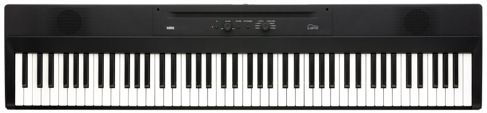 L1