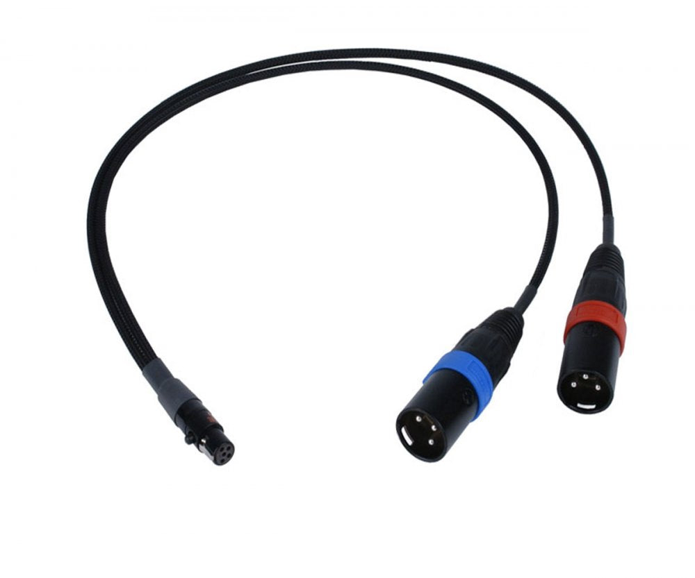 CAT5F2X3M18