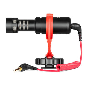 VideoMicro