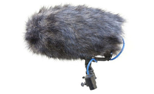 COSI-L-21