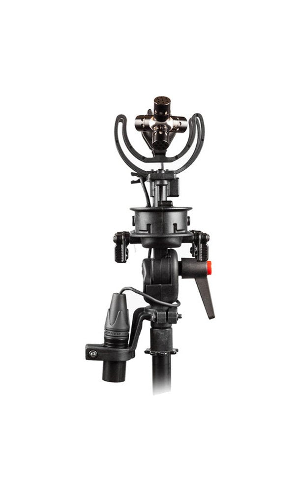 Stereo Cyclone Ambisonic 2 089141