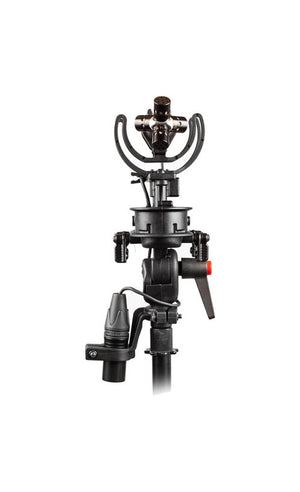 Stereo Cyclone Ambisonic 2 089141