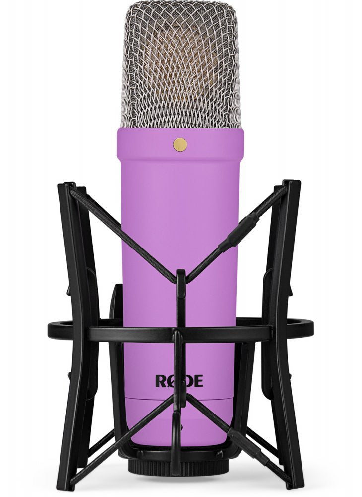 NT1 Signature PURPLE