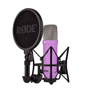 NT1 Signature PURPLE