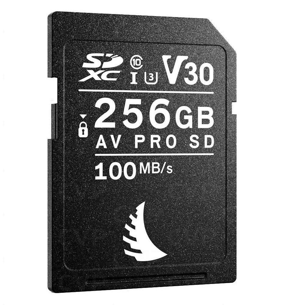 AV PRO SD V30 256 GB