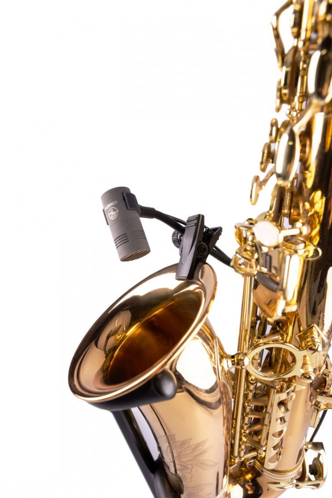 Saxaphone Set