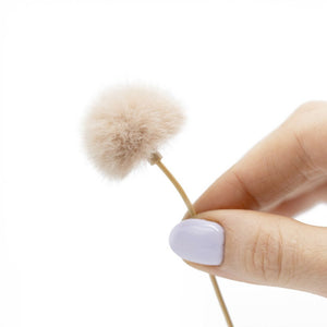 The Windbubble PRO (Twin Pack) - Small, Beige