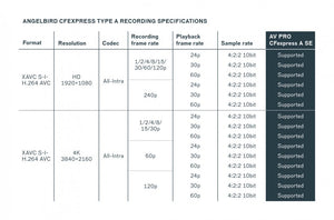 AV PRO CFexpress A SE 330 GB