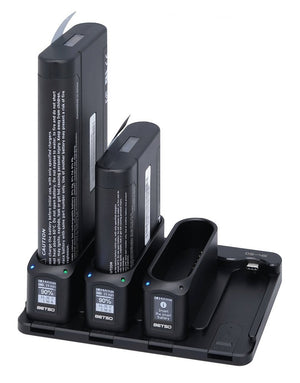 DS-4S