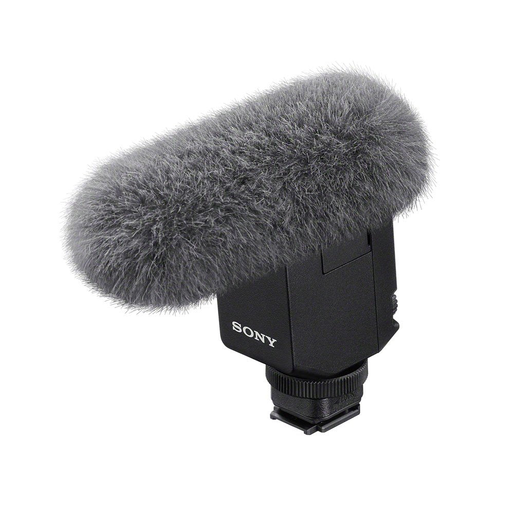 ECM-B10