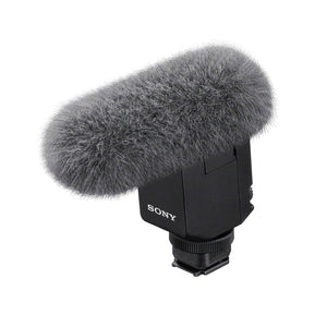 ECM-B10
