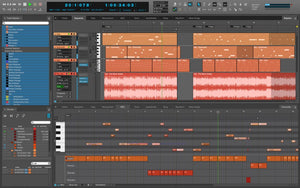DP11 Lab Pack