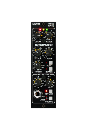 DS101