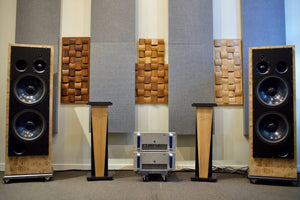 ATC SCM300ASLT Premium (Burr Poplar) - Pair