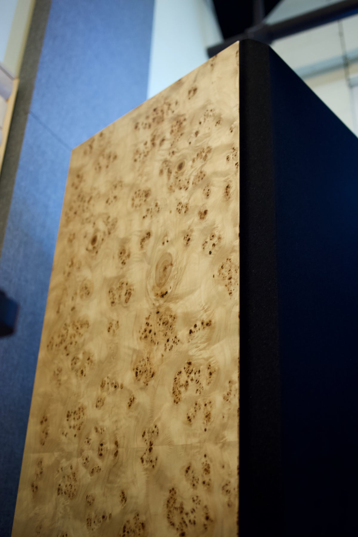 ATC SCM300ASLT Premium (Burr Poplar) - Pair