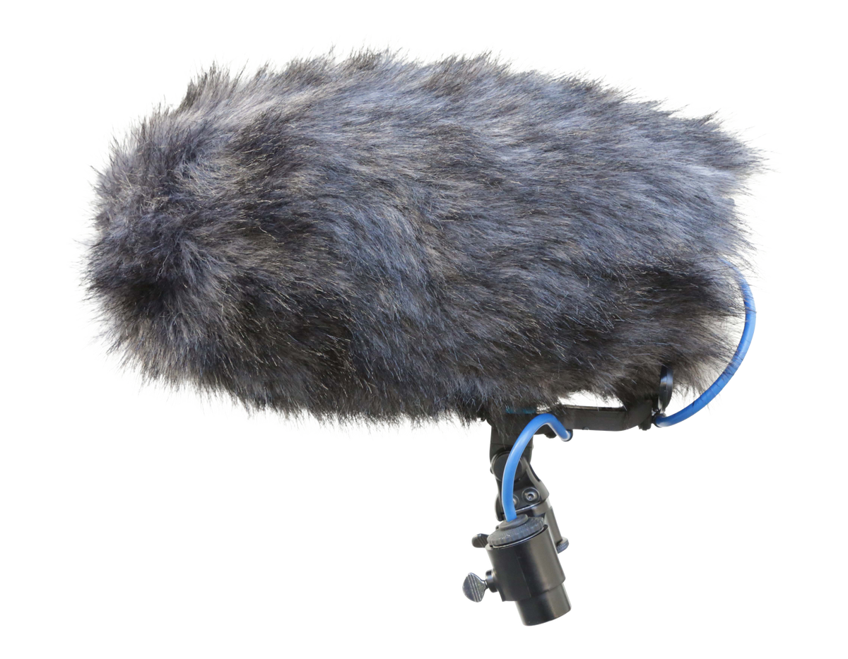 COSI-L-20