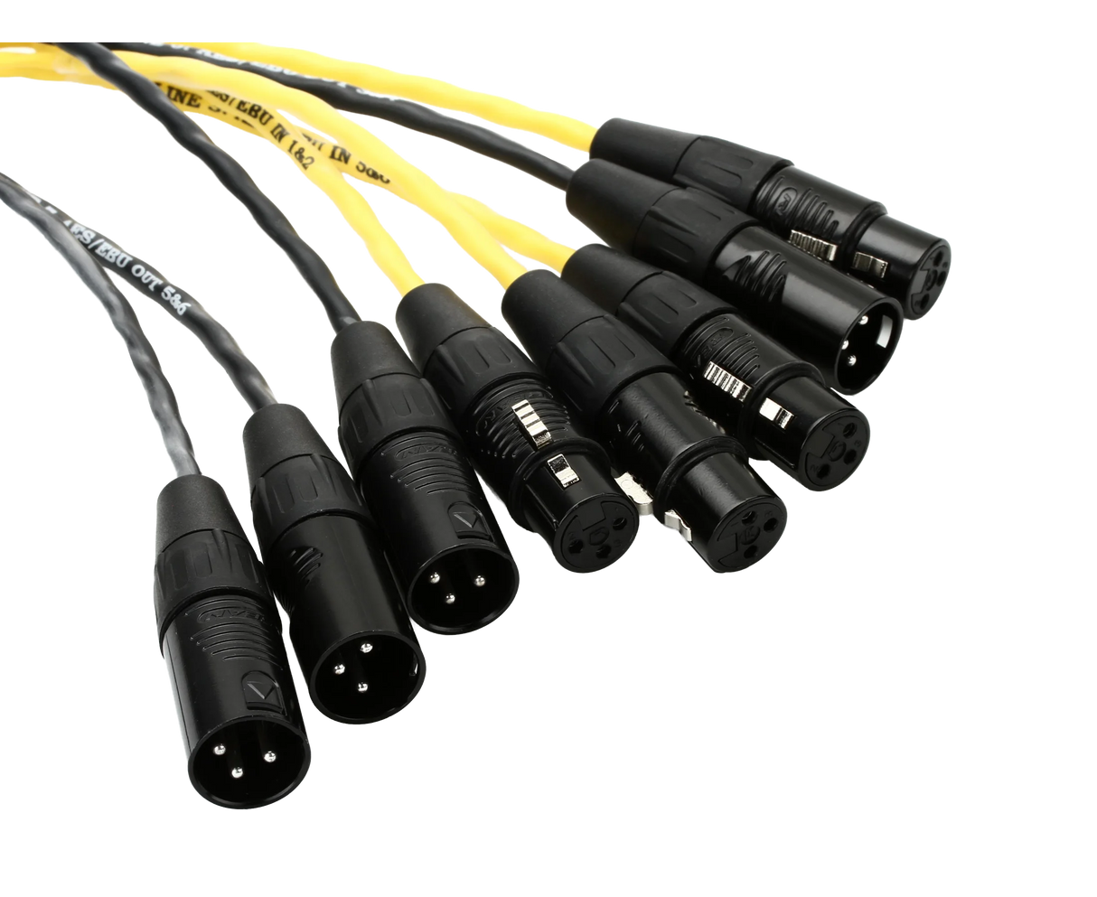 DB25-XLR M+F AES/EBU DigiSnake Cable - 12ft