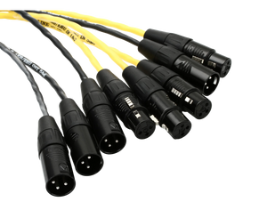 DB25-XLR M+F AES/EBU DigiSnake Cable - 4ft